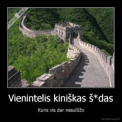 Vienintelis kiniškas š*das - Kuris vis dar nesulūžo