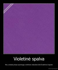 Violetinė spalva - Nes į mokyklą atėjas apsirengęs violetinais drabužiais būni išvadintas Drąsiumi.
