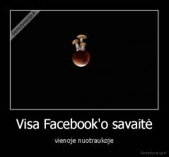 Visa Facebook'o savaitė - vienoje nuotraukoje