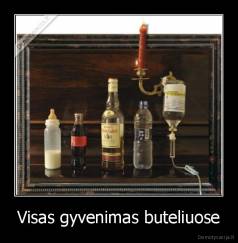 Visas gyvenimas buteliuose - 