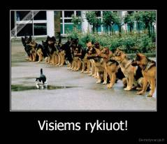 Visiems rykiuot! - 