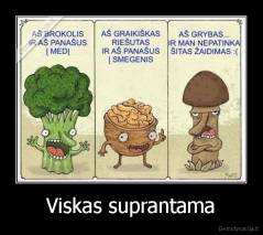 Viskas suprantama - 