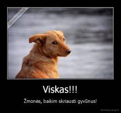 Viskas!!! - Žmonės, baikim skriausti gyvūnus!