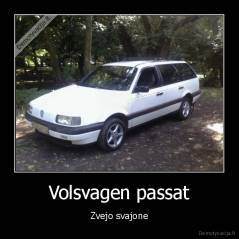 Volsvagen passat - Zvejo svajone