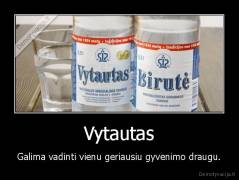 Vytautas - Galima vadinti vienu geriausiu gyvenimo draugu.