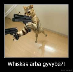 Whiskas arba gyvybė?! - 