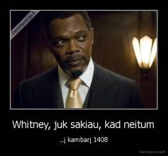 Whitney, juk sakiau, kad neitum - ..į kambarį 1408