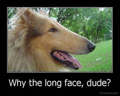 Why the long face, dude? - 