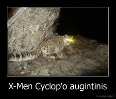 X-Men Cyclop'o augintinis - 