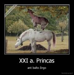 XXI a. Princas - ant balto žirgo