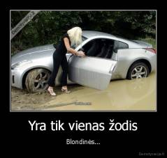 Yra tik vienas žodis - Blondinės...