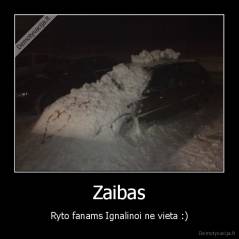 Zaibas - Ryto fanams Ignalinoi ne vieta :)