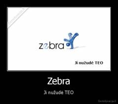 Zebra - Ji nužudė TEO