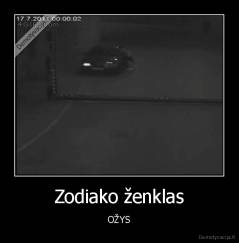 Zodiako ženklas - OŽYS