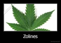 Zolines - 