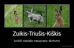 Zuikis-Triušis-Kiškis - turbūt niekada nesuprasiu skirtumo