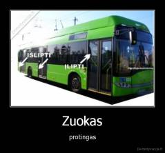 Zuokas - protingas