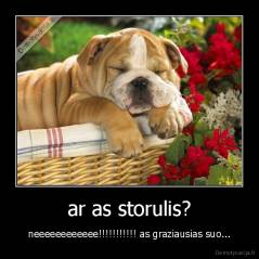 ar as storulis? - neeeeeeeeeeee!!!!!!!!!!! as graziausias suo...