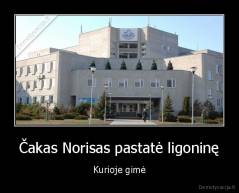 Čakas Norisas pastatė ligoninę - Kurioje gimė