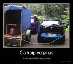 Čia kaip veganas - Kuris paslapčia valgo mėsą