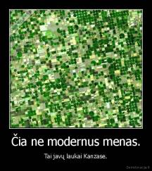 Čia ne modernus menas. - Tai javų laukai Kanzase.