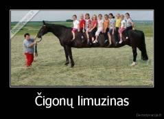 Čigonų limuzinas - 