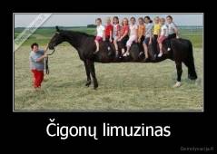 Čigonų limuzinas - 