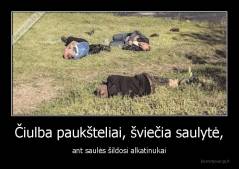 Čiulba paukšteliai, šviečia saulytė, - ant saulės šildosi alkatinukai