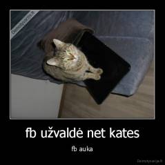 fb užvaldė net kates - fb auka