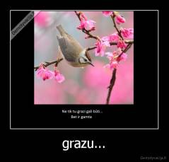 grazu... - 