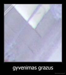 gyvenimas grazus - 