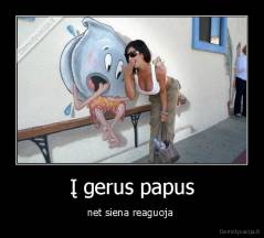 Į gerus papus - net siena reaguoja 