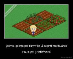 Įdomu, galima per Farmville užauginti marihuanos - ir nusiųsti į MafiaWars?