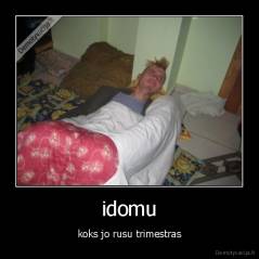 idomu - koks jo rusu trimestras