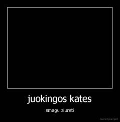 juokingos kates - smagu ziureti