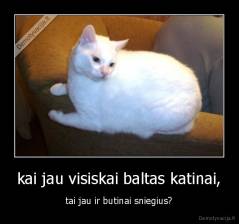 kai jau visiskai baltas katinai, - tai jau ir butinai sniegius?