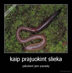 kaip prajuokint slieka - pakutent jam pazasty