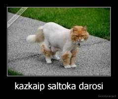 kazkaip saltoka darosi - 