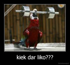 kiek dar liko??? - 