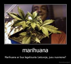 marihuana - Marihuana ar bus legalizuota Lietuvoje, jusu nuomone?