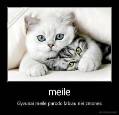 meile - Gyvunai meile parodo labiau nei zmones