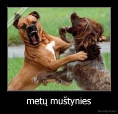 metų muštynies - 