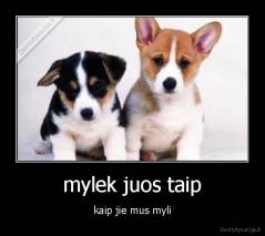 mylek juos taip - kaip jie mus myli