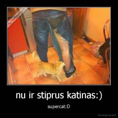 nu ir stiprus katinas:) - supercat:D