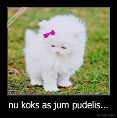 nu koks as jum pudelis... - 