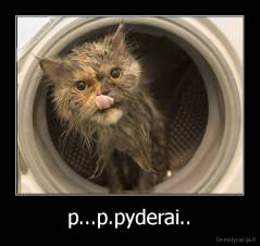 p...p.pyderai.. - 