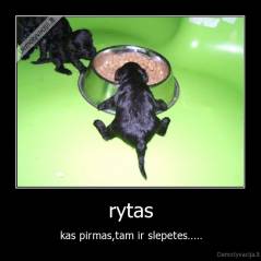 rytas - kas pirmas,tam ir slepetes.....