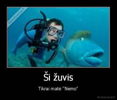 Ši žuvis - Tikrai matė "Nemo"