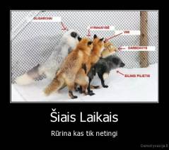 Šiais Laikais - Rūrina kas tik netingi