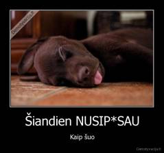 Šiandien NUSIP*SAU - Kaip šuo